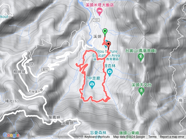 113/3/14 樹根預覽圖