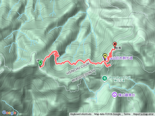 觀霧檜木群-蜜月小徑-山椒魚預覽圖