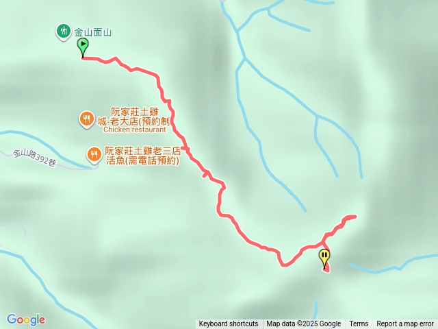 桃園金面山