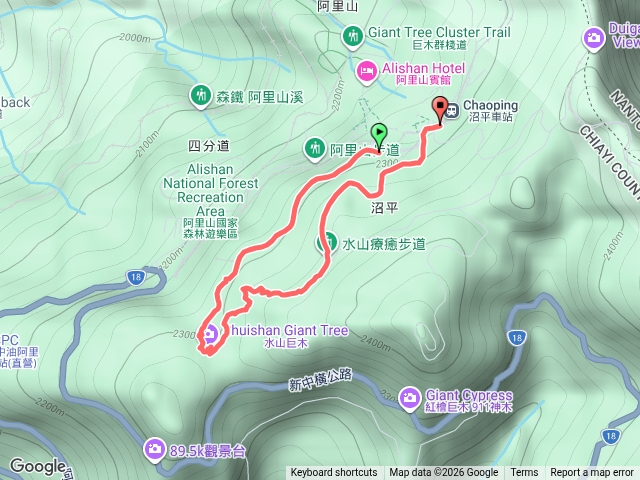 阿里山-水山巨木、水山療癒步道預覽圖
