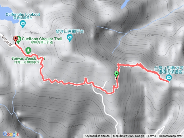 台灣山毛櫸步道預覽圖