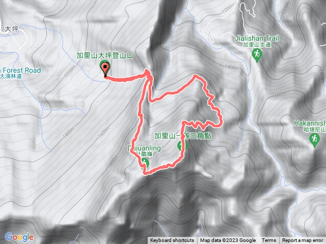 加里山走杜鵑嶺大P型(大坪登山口入)