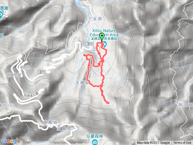 溪頭景觀步道神木步道