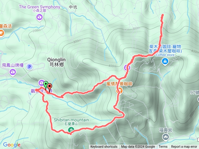 飛鳳山大板根O型