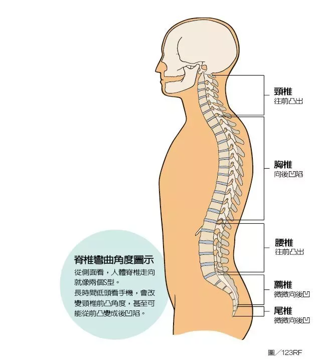 【健康】練好核心撐起頸椎 專家推薦游泳最好