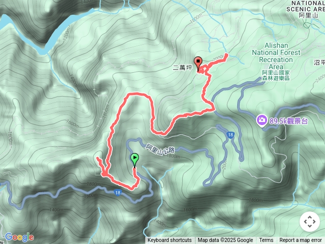 屏遮那山登二萬坪山走秘境樹抱石