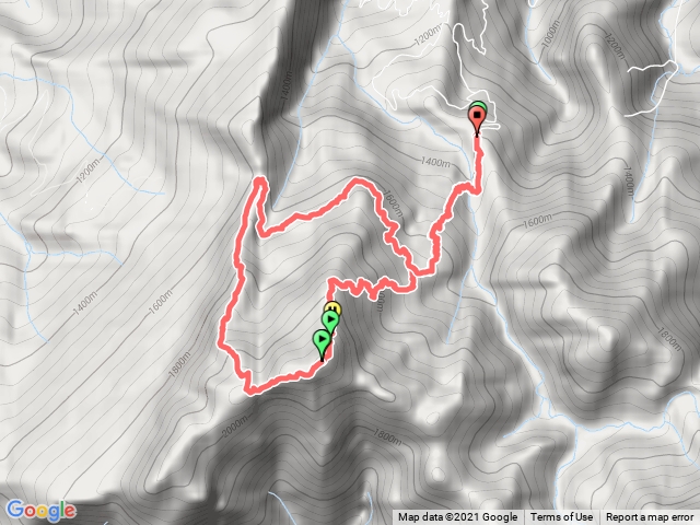 鹿場口-加里山-杜鵑嶺下