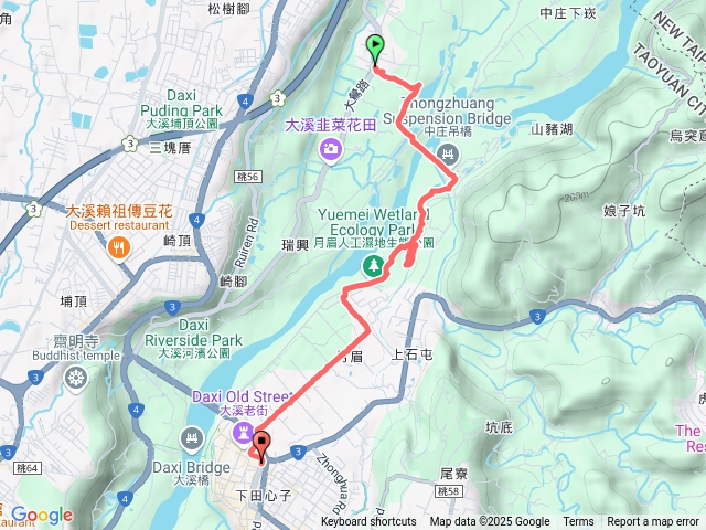 20250108-月眉落羽松