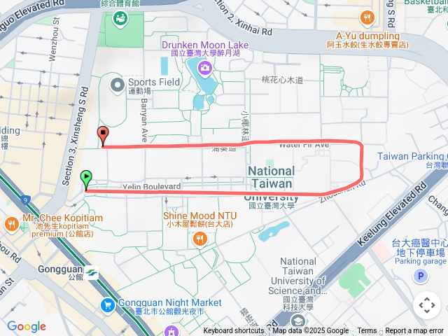 台大椰林大道蒲葵道