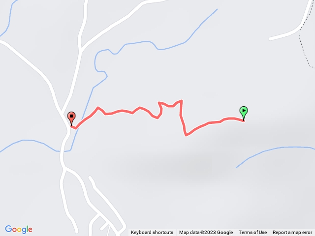 2023-8-14 白河 蕉芎宅山 果園登山口