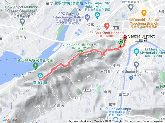 青草彩壁練習生