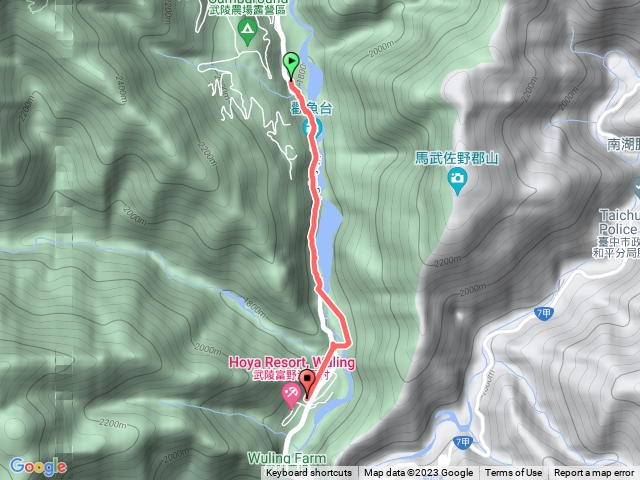 琳-武陵農場賞櫻