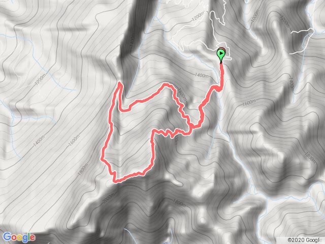 加里山-杜鵑嶺-大坪林道 P型