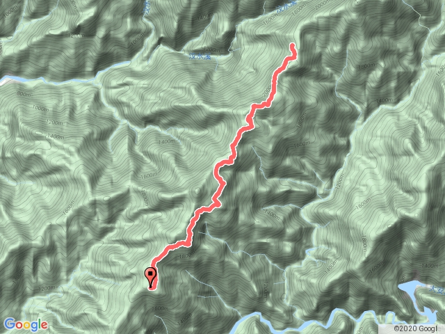 北坑山登山步道，雪見遊客中心，司馬限林道，北坑山，雪見大板根