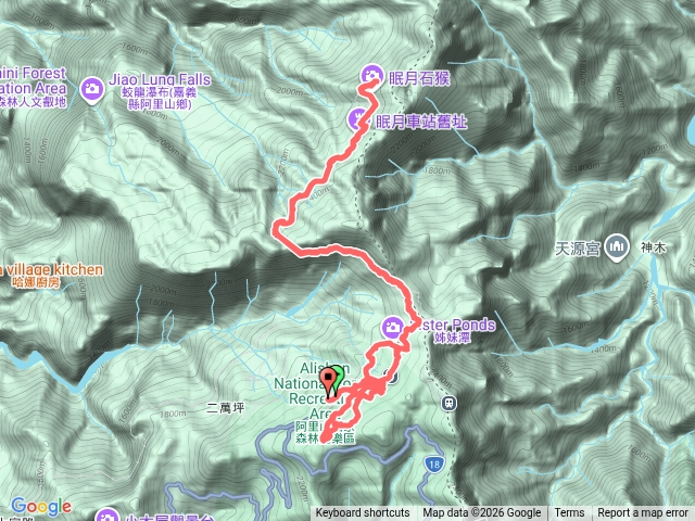 20260413🚂阿里山眠月線一葉蘭 姐妹潭 水山巨木步道預覽圖