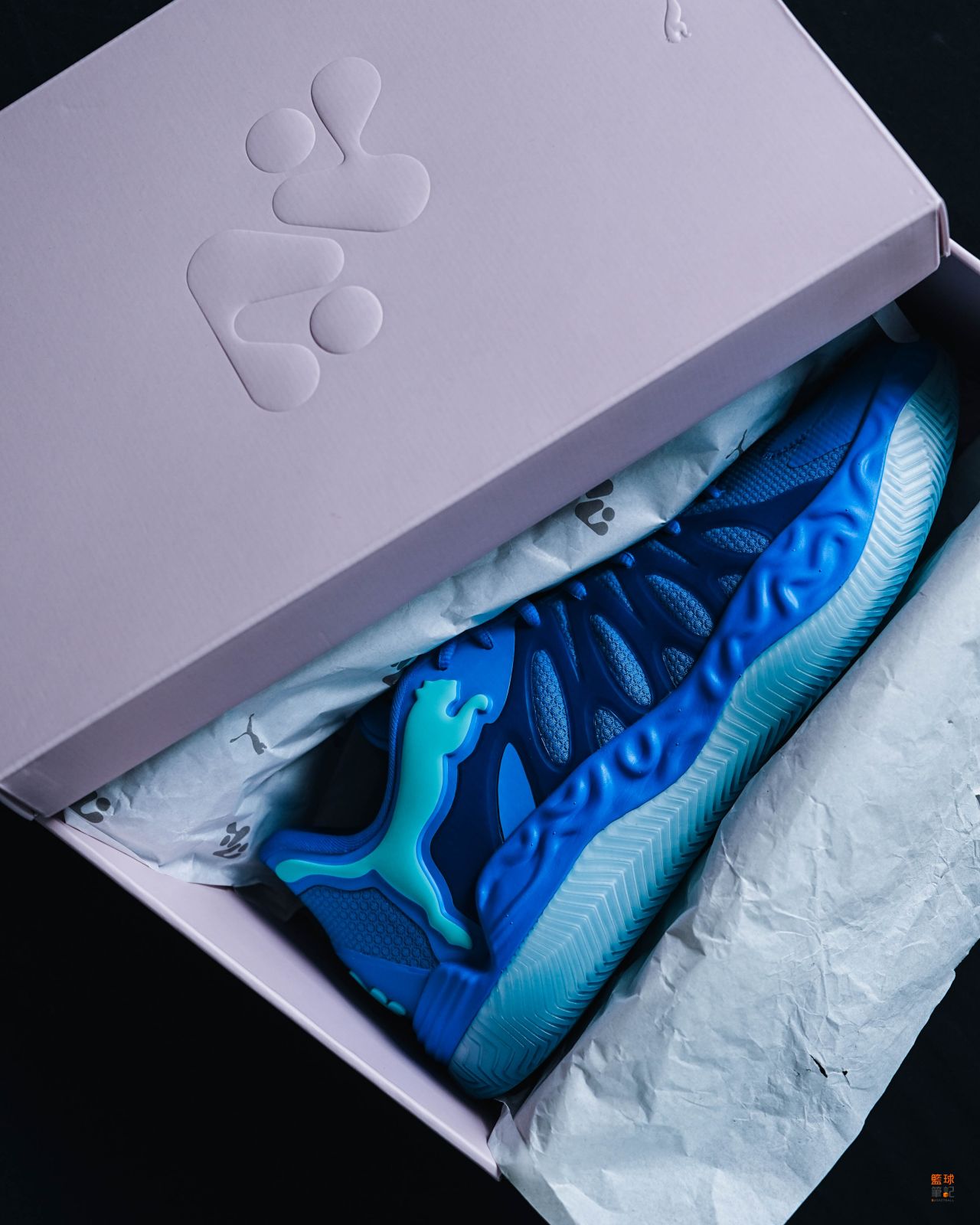 【球鞋開箱】搶眼巨型PUMA跳豹LOGO鑲嵌鞋身！Puma Hali 1 "Opal"鞋款開箱一次看