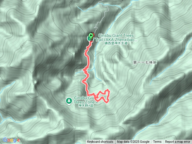 鎮西堡巨木群步道B區路線預覽圖