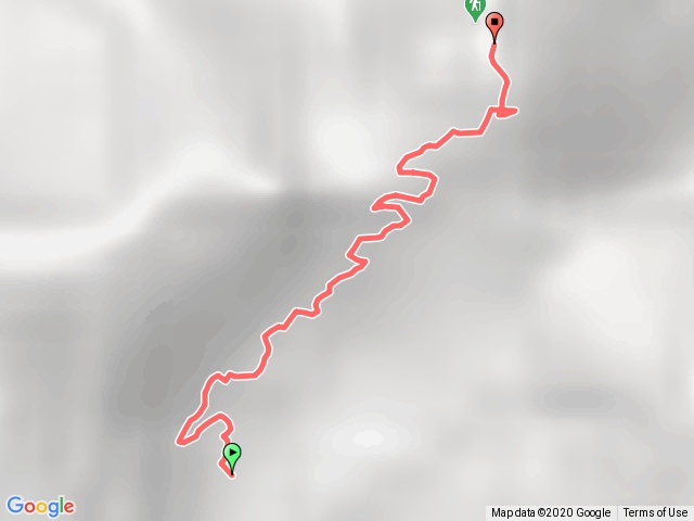 白毛山（白毛山林道上山）