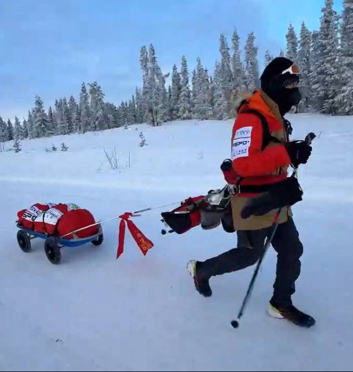 可能是 1 人、玩狗拉雪橇和北極圈的圖像