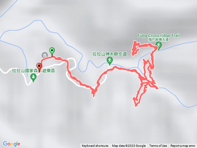 拉拉山神木之旅