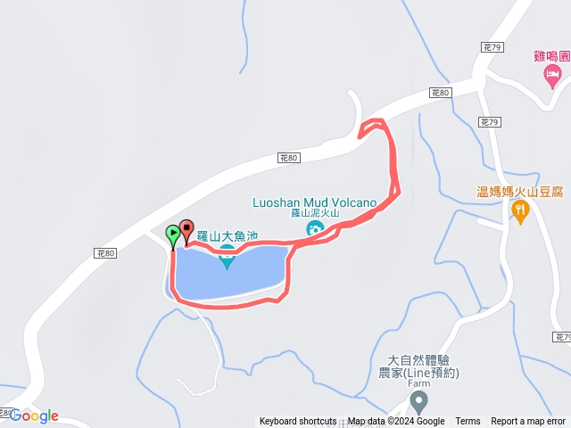 漫遊縱谷愛在花東羅山村竹林步道202407290755預覽圖