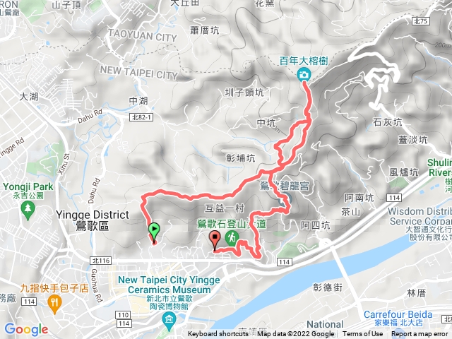 忠義宮 百年榕樹 碧龍宮