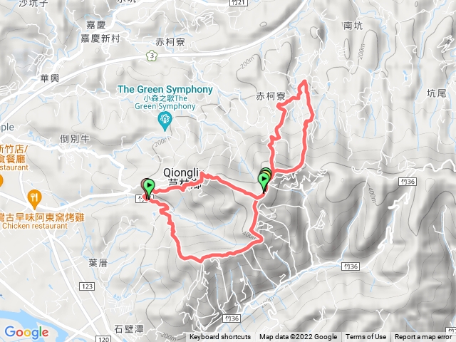 飛鳳山大板根O型走