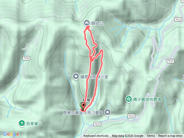 20260418_鹿寮坑桐花步道