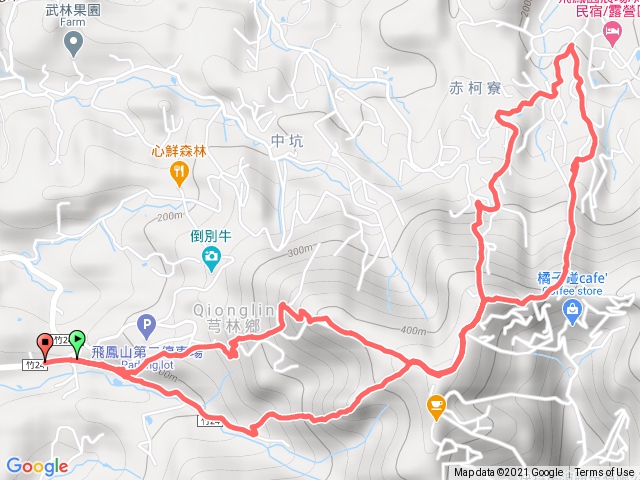 飛鳳山板根樹O型