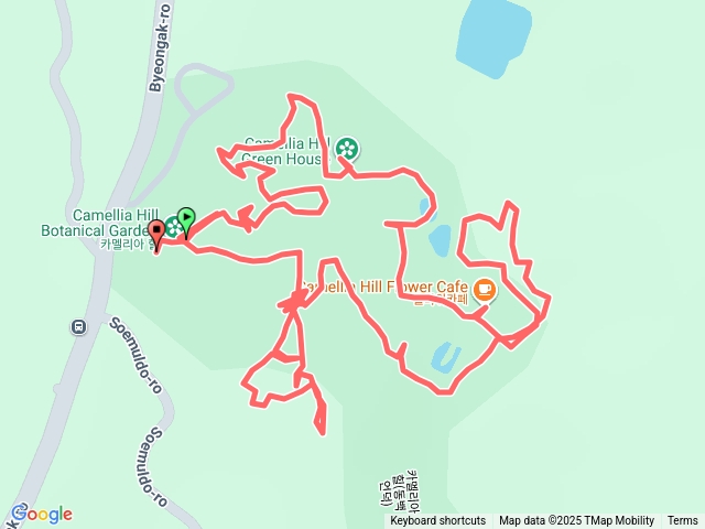 山茶花之丘（CamelliaHill）