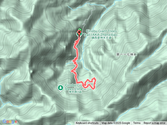 鎮西堡巨木群步道B_20250824