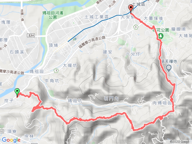 土城賞桐花健行