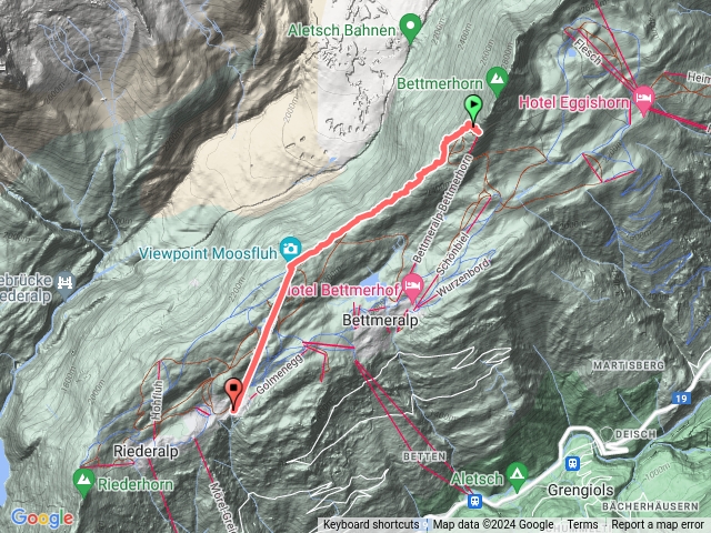 BergstationbettmerhorntomoosfluhcablecartoRiederalp