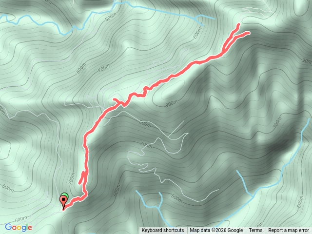 20260125_霧里乙山群峰_真愛山林