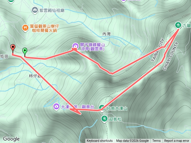 雞九凍