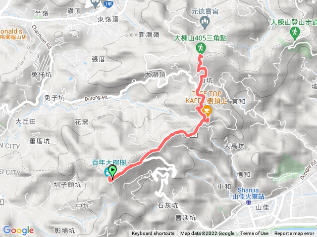 福源山百年大榕樹-大棟山三角點