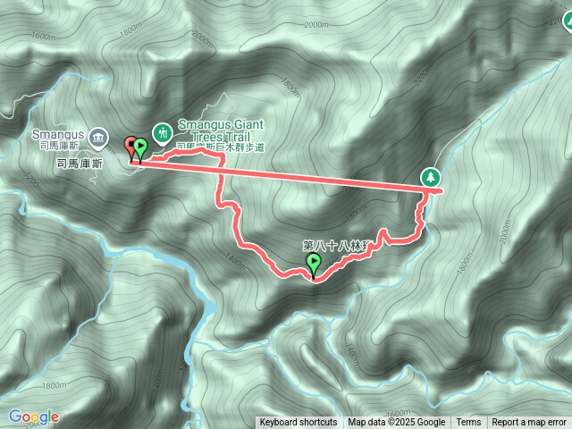 司馬庫斯巨木群20251129預覽圖