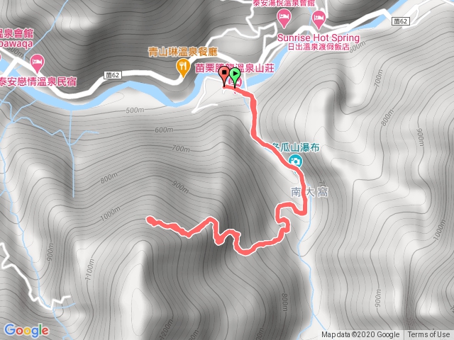 109.7.11冬瓜山櫸木