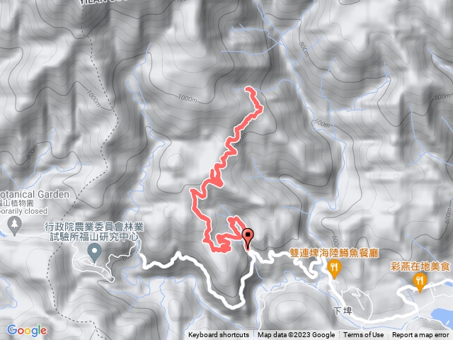 20230305阿玉山林道