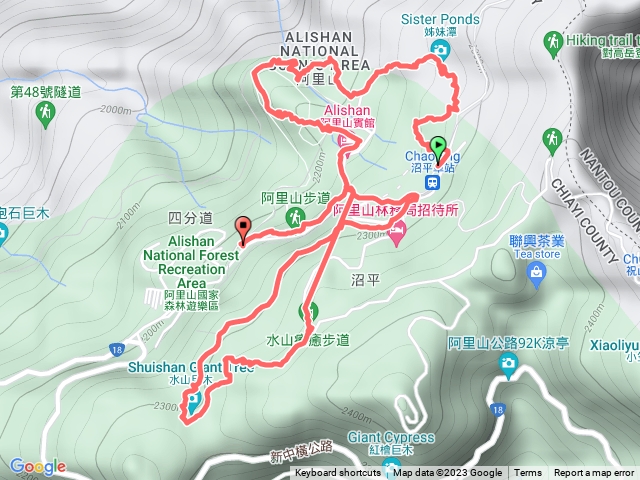 阿里山巨木步道