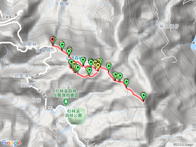 南投 忘憂森林、金柑樹山、嶺頭山  串丸子