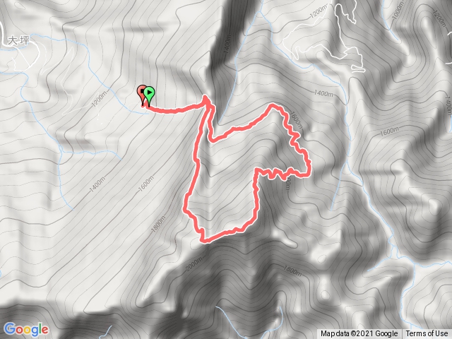 2021-01-02 加里山(大坪登山口上杜鵑嶺出避難山屋下鐵道路回)