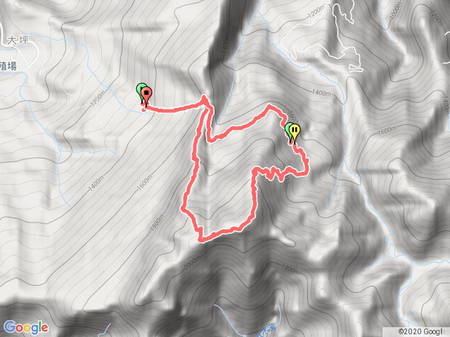 加里山大坪登山口—杜鵑嶺—鐵道大P