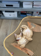 看看Miles CWY的個人專頁