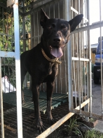 看看Ruby的個人專頁