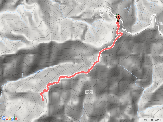 [觀霧]樂山林道至大板根