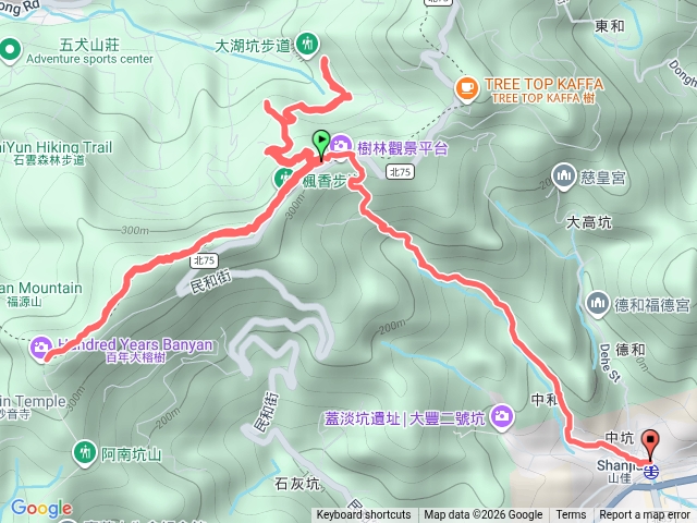 2025微笑山線大縱走尋寶集章任務微笑山線：【大棟山系】百年大榕樹段20260402164333預覽圖