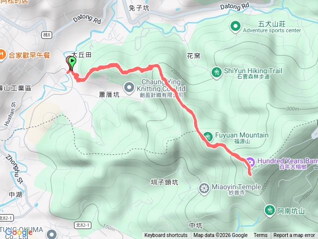 福源山六號一號榕樹來回