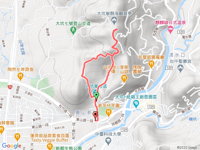 大坑9.9-1