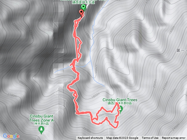 琳-鎮西堡巨木群B區